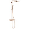 EUPH SmartCtrl 310 brusesystem term.
