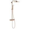 EUPH SmartCtrl 310 brusesystem term.