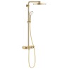 EUPH SmartCtrl 310 brusesystem term.