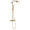 EUPH SmartCtrl 310 brusesystem term.